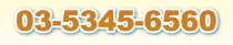 TEL 03-5345-6560